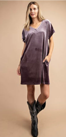 Ash Purple Velour Dress