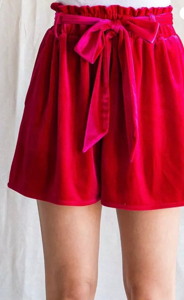 Velvet Shorts