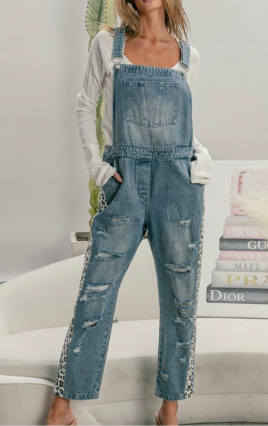 Denim Distressed Overalls