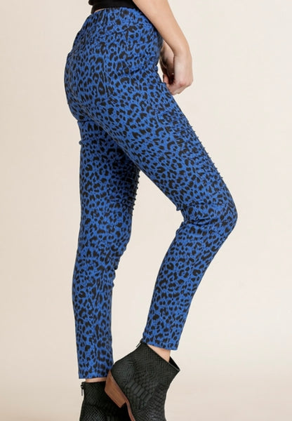 Cobalt Animal Print Moto Skinny Pants