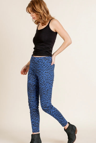 Cobalt Animal Print Moto Skinny Pants