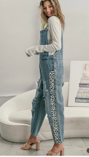 Denim Distressed Overalls