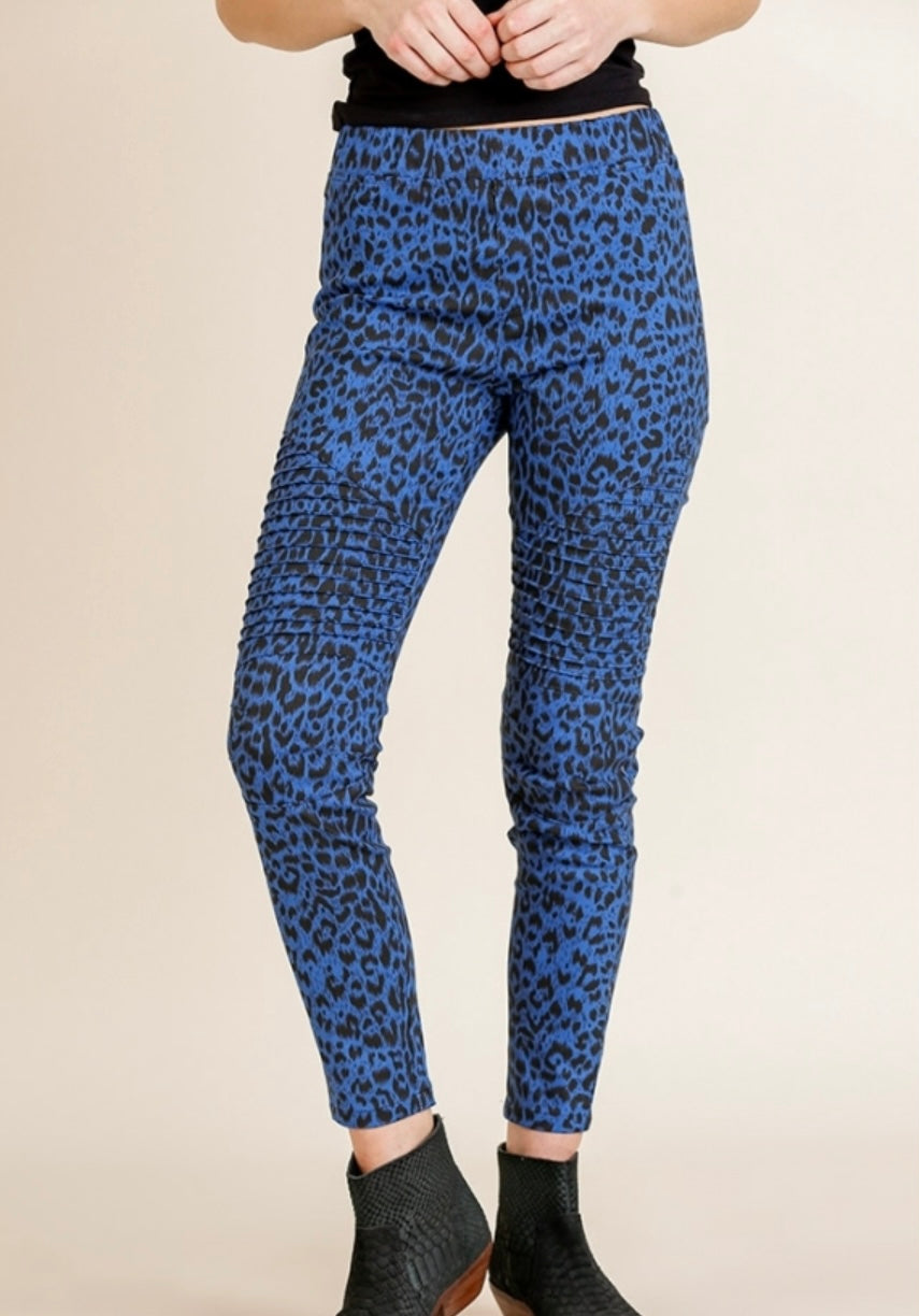 Cobalt Animal Print Moto Skinny Pants